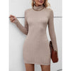 Aubrey | Turtleneck Dress